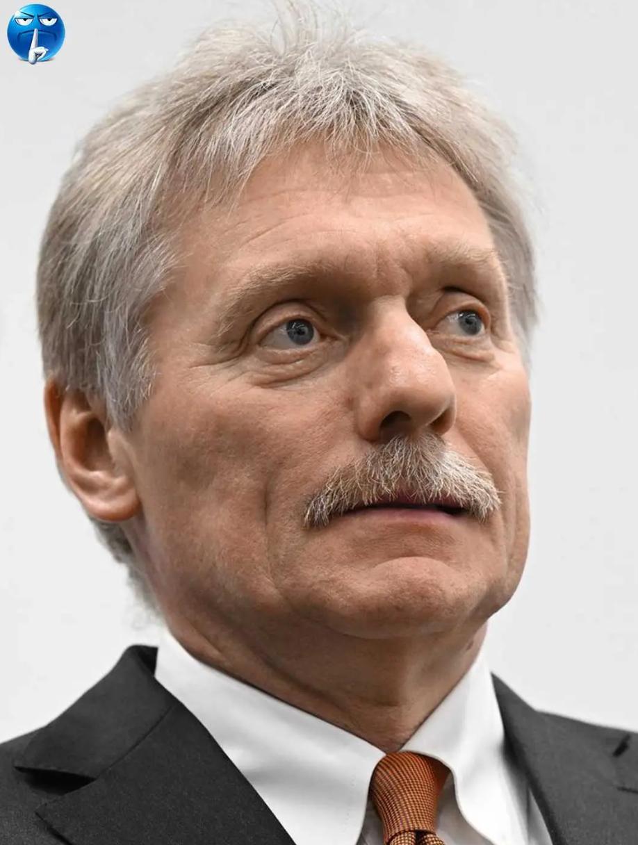 俄罗斯消息，
4月13日，俄罗斯总统新闻秘书佩斯科夫，说了一句让欧洲五味杂陈的话