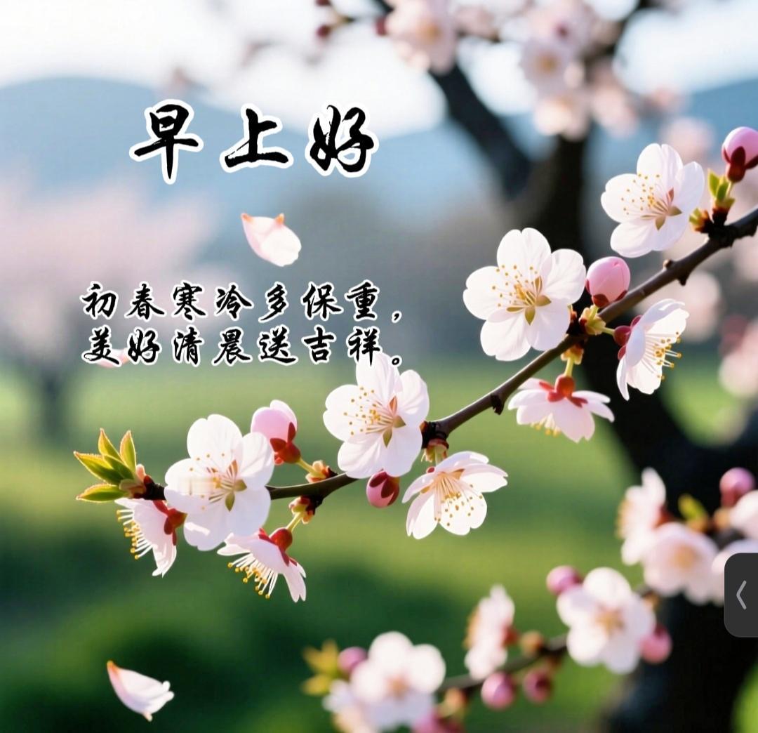 分享早安图片春回大地日渐长，花开花落年年香，唯有友情花不败，地久天长更芬芳。初春