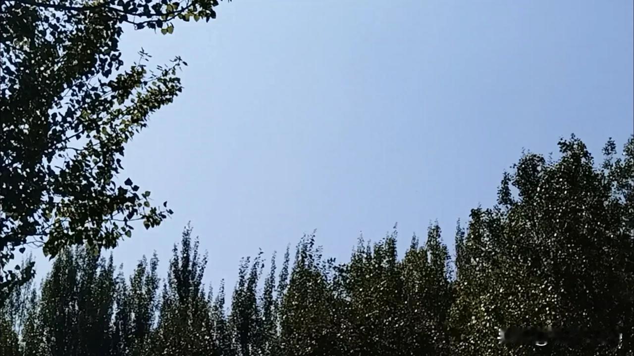
#赏秋意# 天高云淡#秋高气爽# 