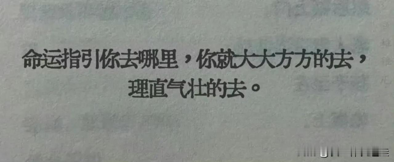 万事尽心尽力，有则锦上添花，无则顺其自然。