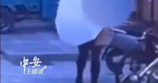 女子偷配女同事家钥匙，盗走140克黄金手镯，变卖12.6万后用来买房，已被刑拘