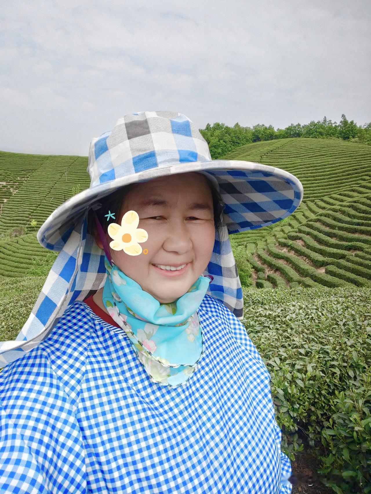 记录我在采摘信阳毛尖的日子
今个上午采摘一斤多毛尖，累个半死，老板还嫌不好卖，让