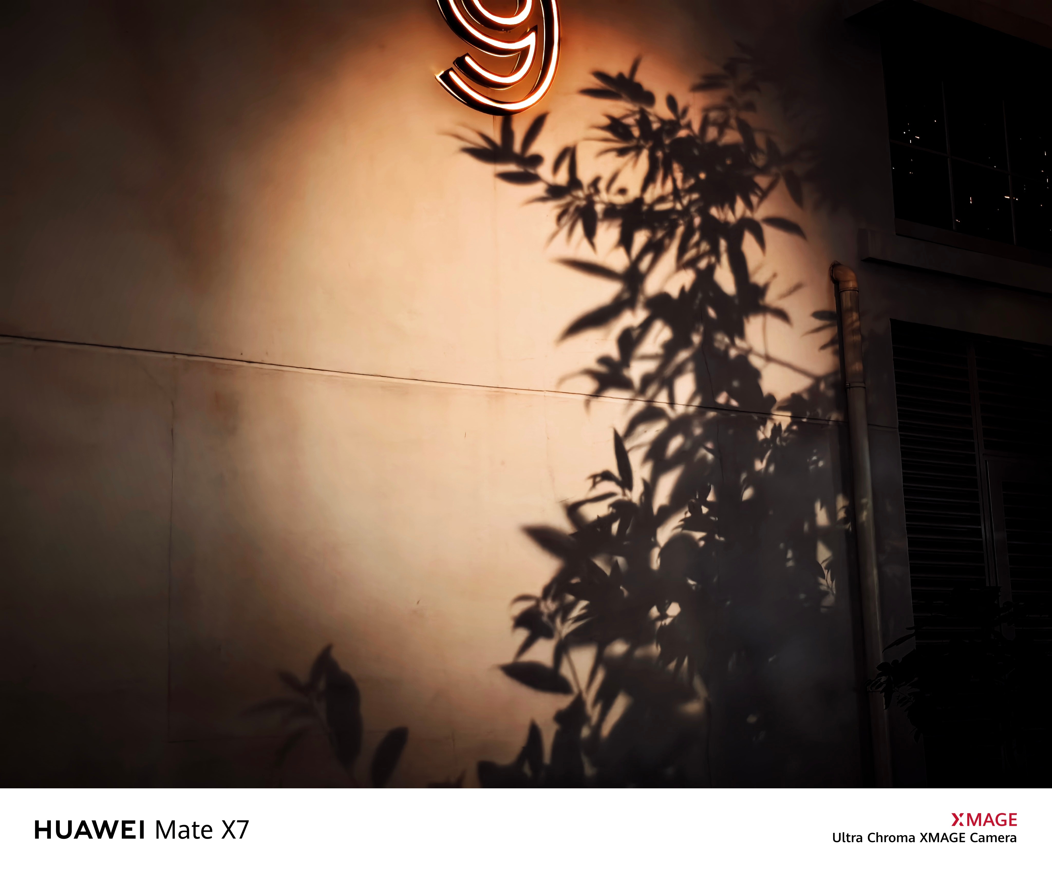 小伙伴也去体验了一波华为Mate X7的影像表现，一句话总结，有直板机Pro级别