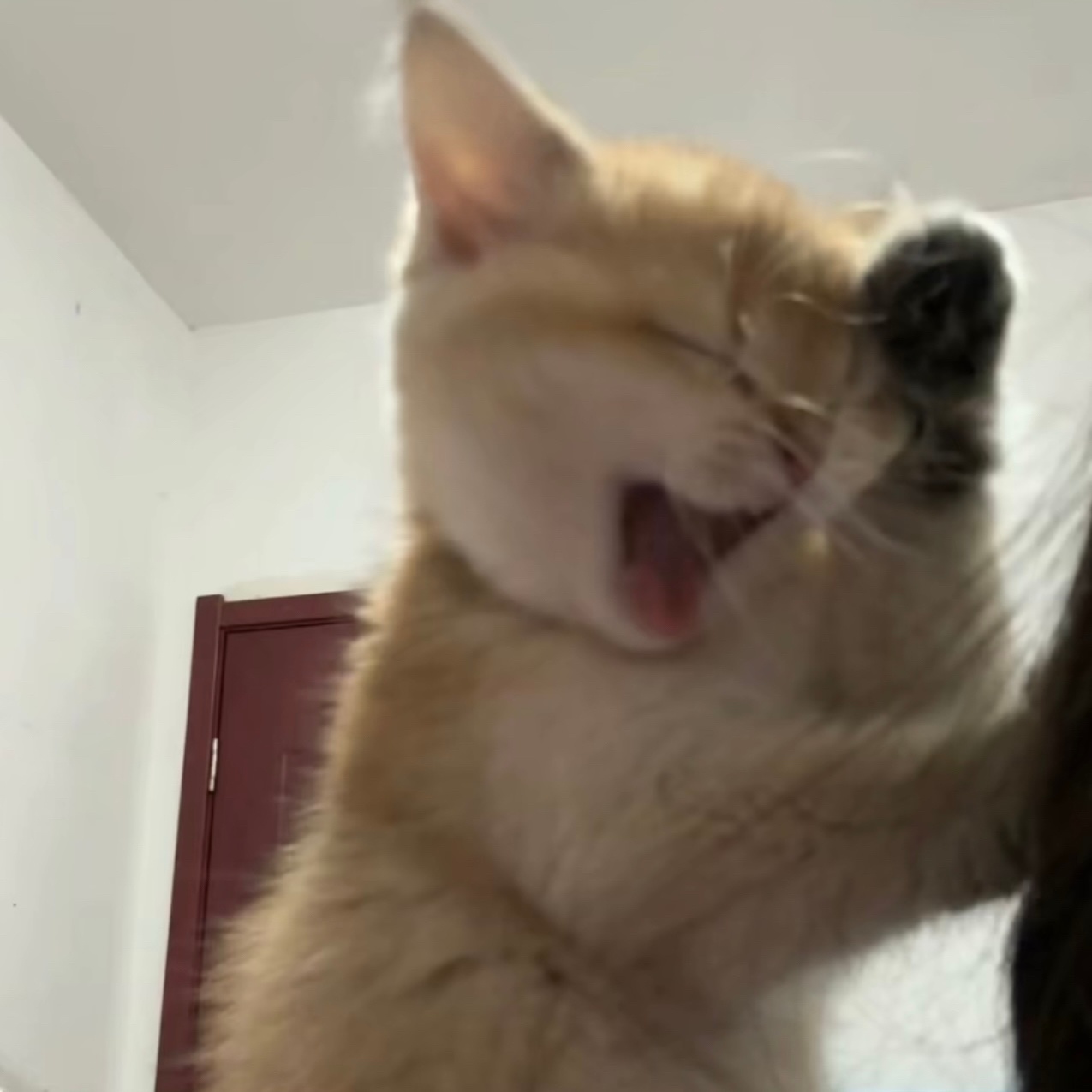 今天不等了啊朋友。壬水篇写了快一半了，明天接着写最后一篇癸水的。这次单篇的篇幅又