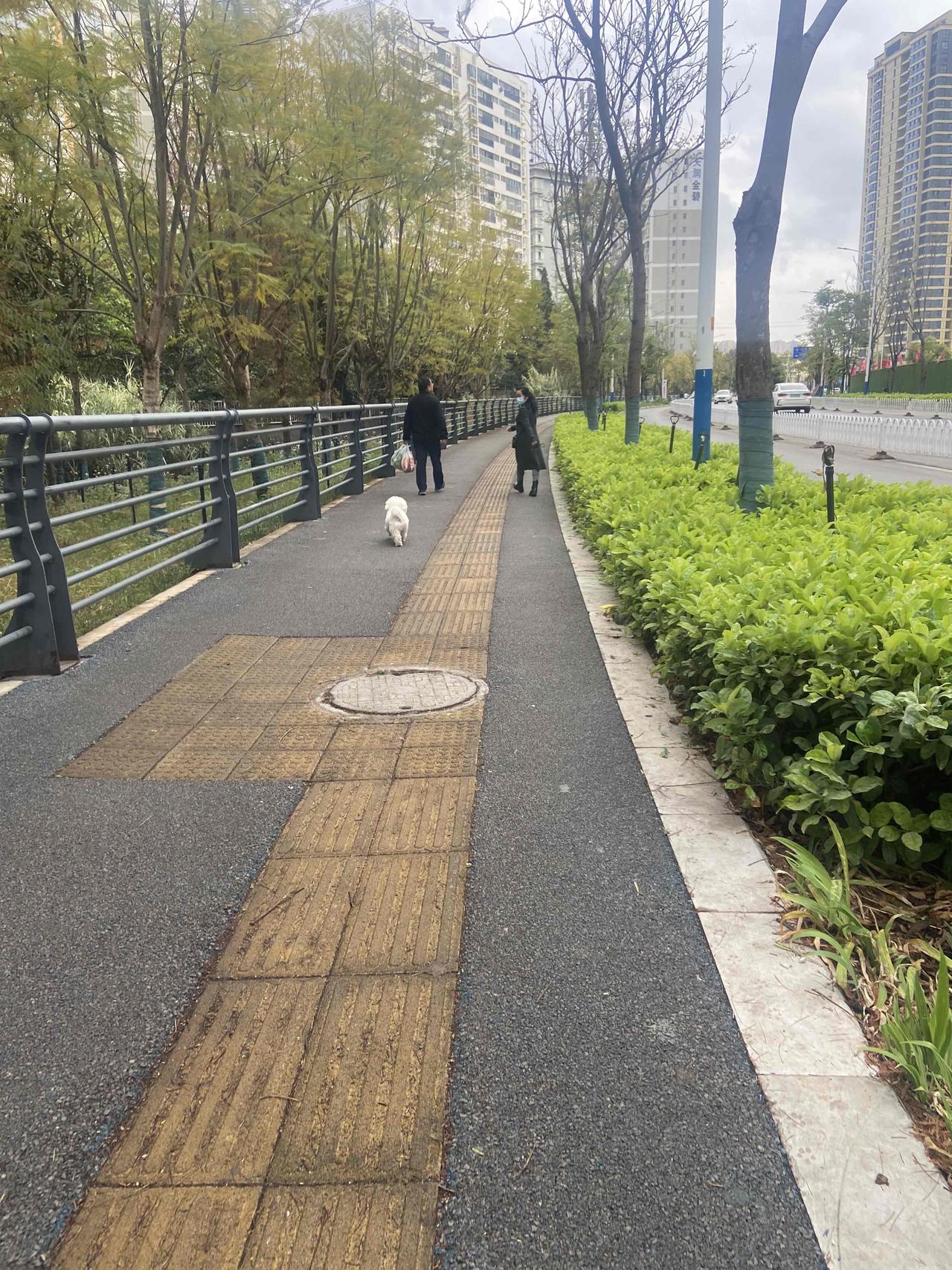 今天虽然天阴，也没有觉得有多冷，只是风有点大，也算是比较适合跑步。只是春天跑步最