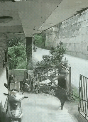 是福不是祸
是祸躲不过
这事故就和算好时辰一样就这么发生了