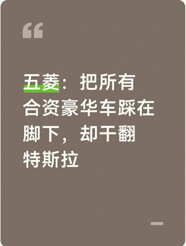 五菱：把所有合资豪华车踩在脚下，却干翻特斯拉