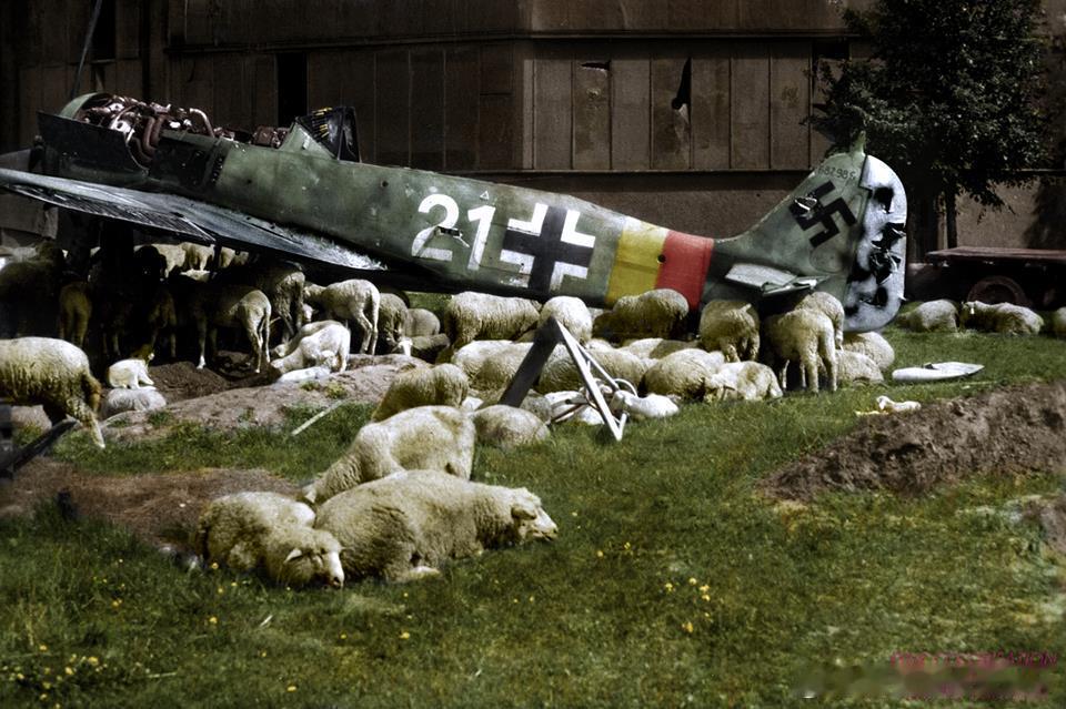 二战中的德军飞行员 