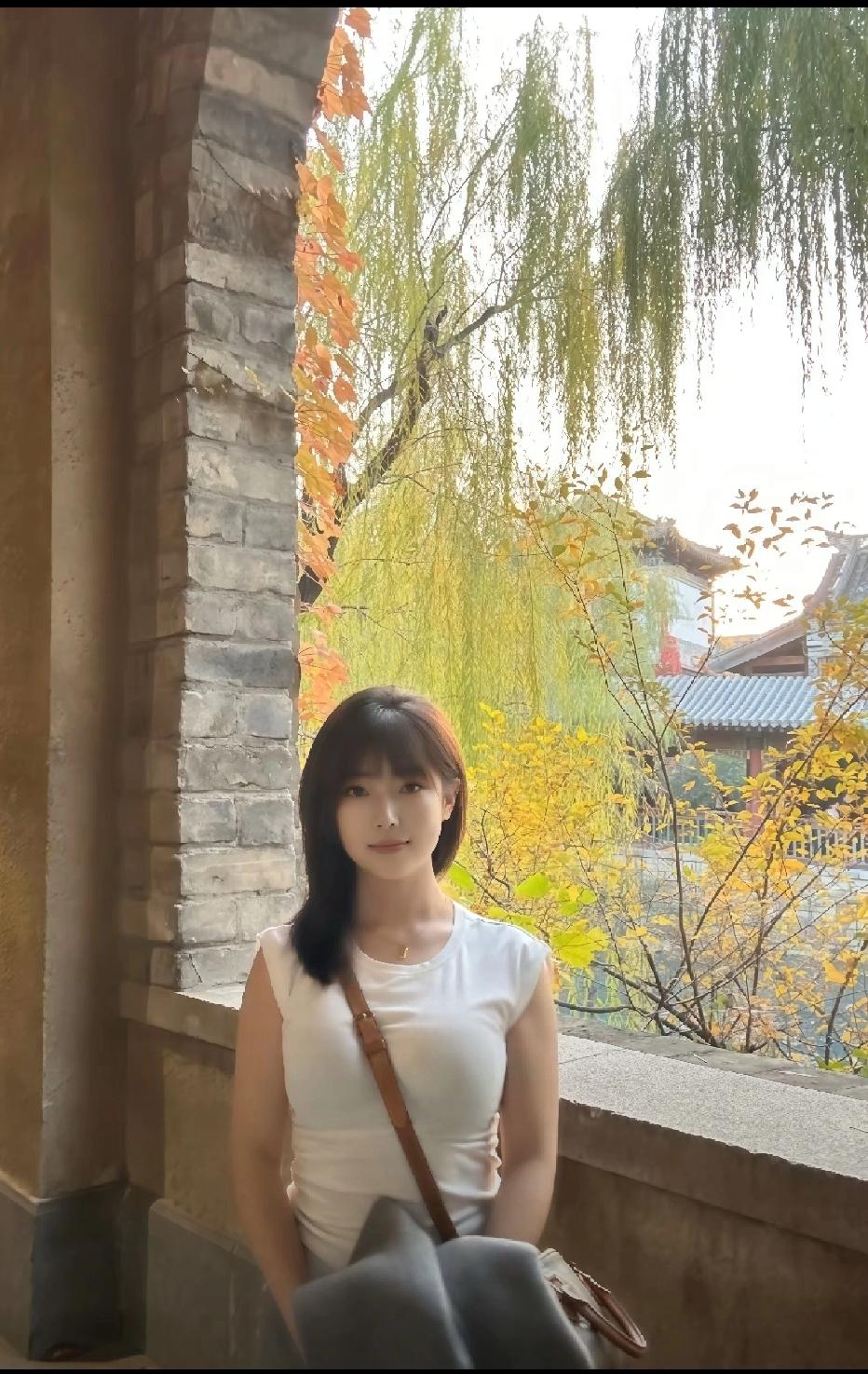 青砖檐角碰着秋光，柳叶和黄叶裹着软风，白衫衬得整个人都清清爽爽——是把季节的温柔