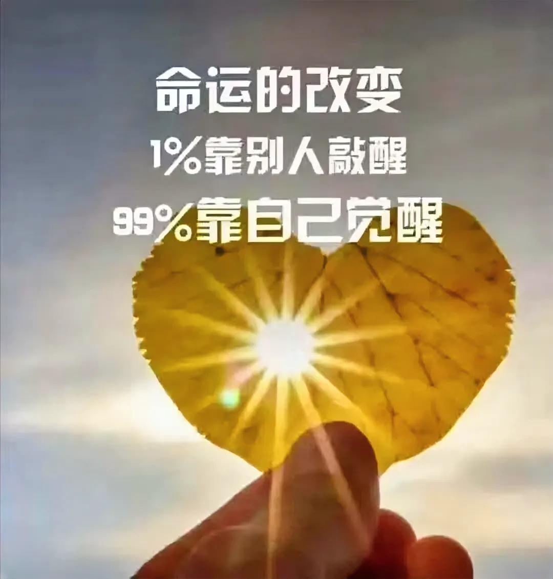 觉悟只能靠自己🤔