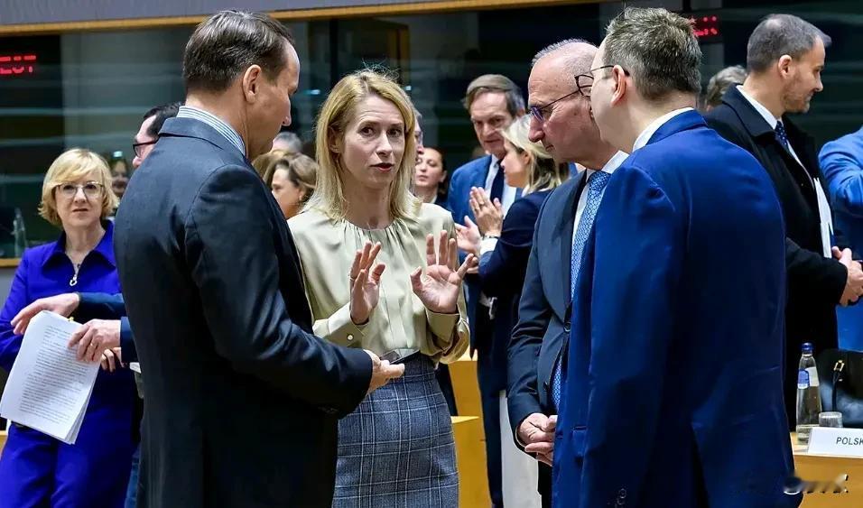 美欧发生激烈争吵.只为美国祭出的“28点”和平协议

近期，关于俄乌局势的谈判再