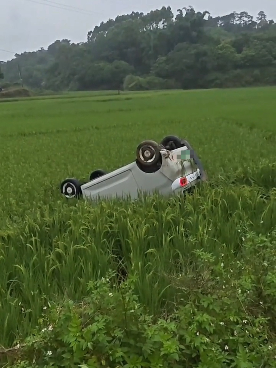 【玉林雨天新能源小车撞翻朝天在苍院禾田】6月18日，玉林暴雨天气，一辆新能源小车