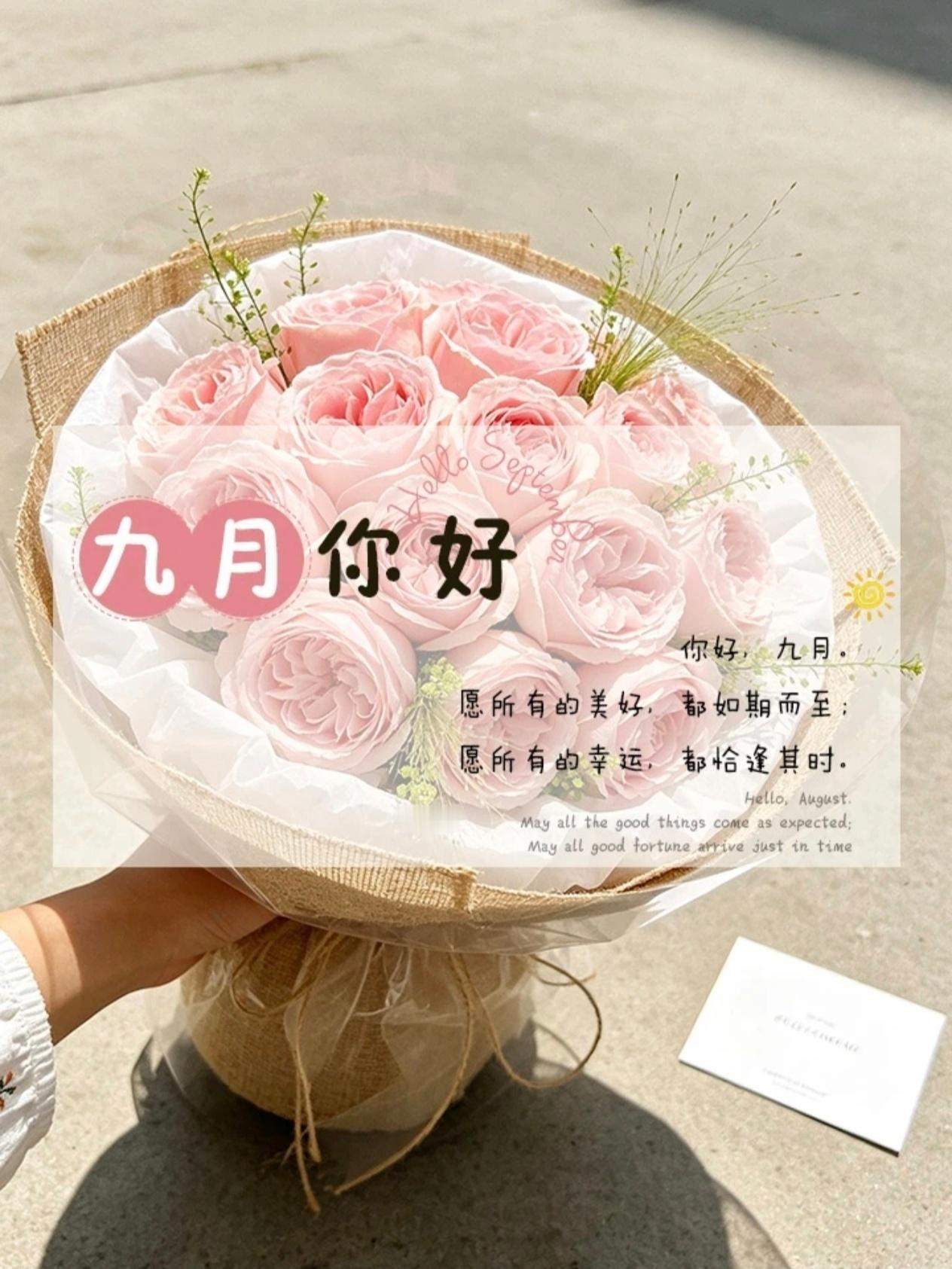 褪去八月燥热，邂逅九月清朗，抬头看云，夏天已成书签；低头走路，秋天正铺成地毯。愿