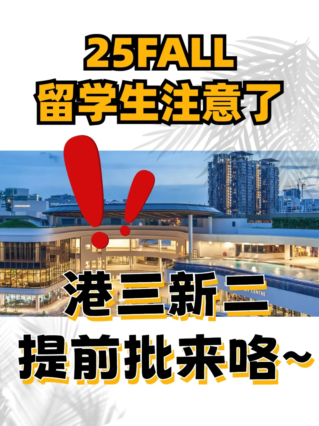 港三新二提前批申请！25fall留学注意了~