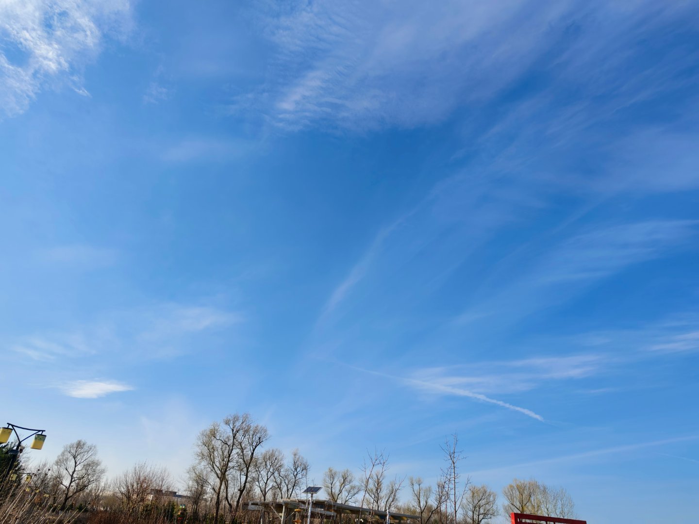 哈尔滨今天的天儿是真好啊~惬意 