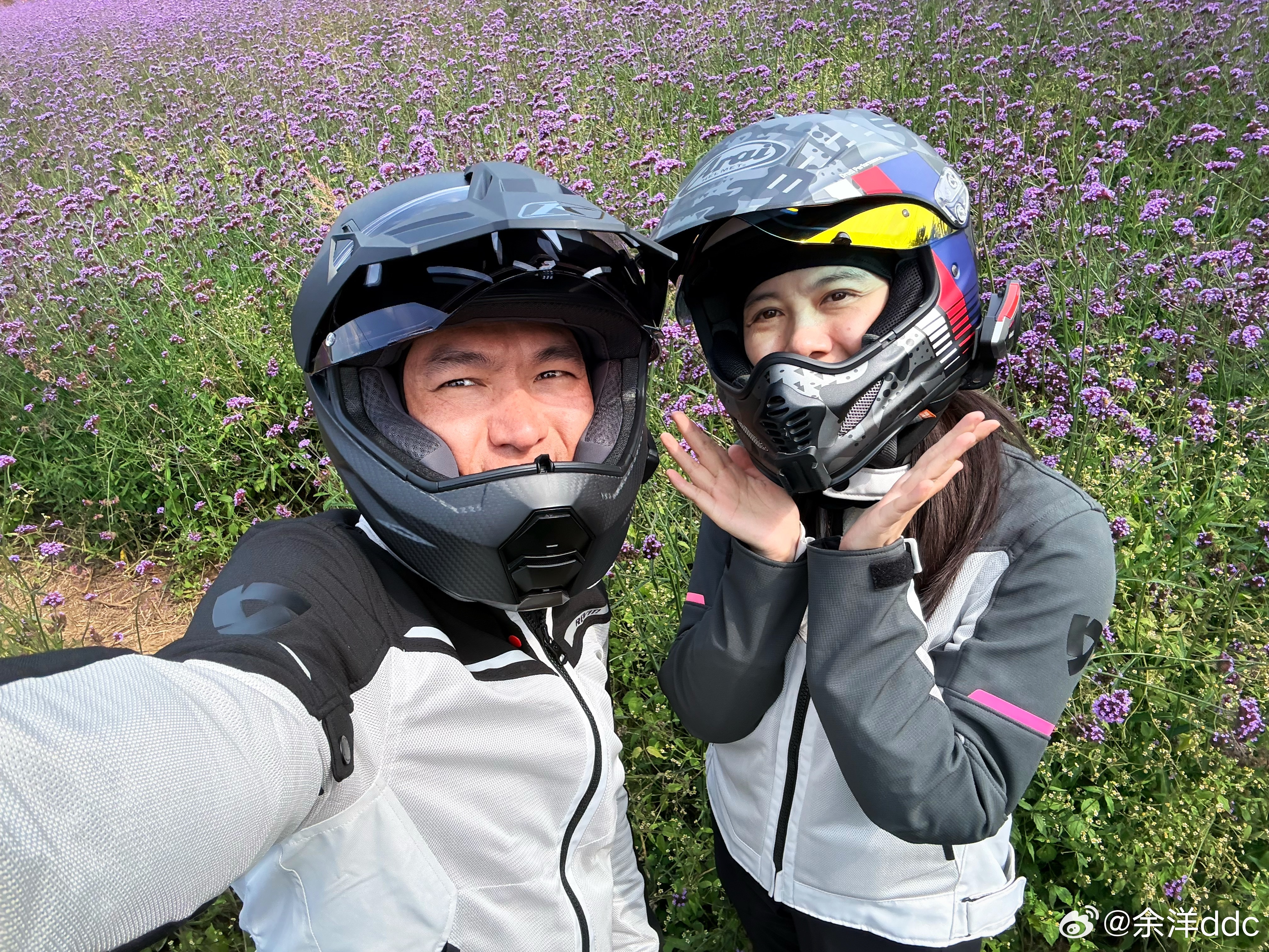 来晚了，大部分都被松鼠拿走了[笑cry]  ​​​