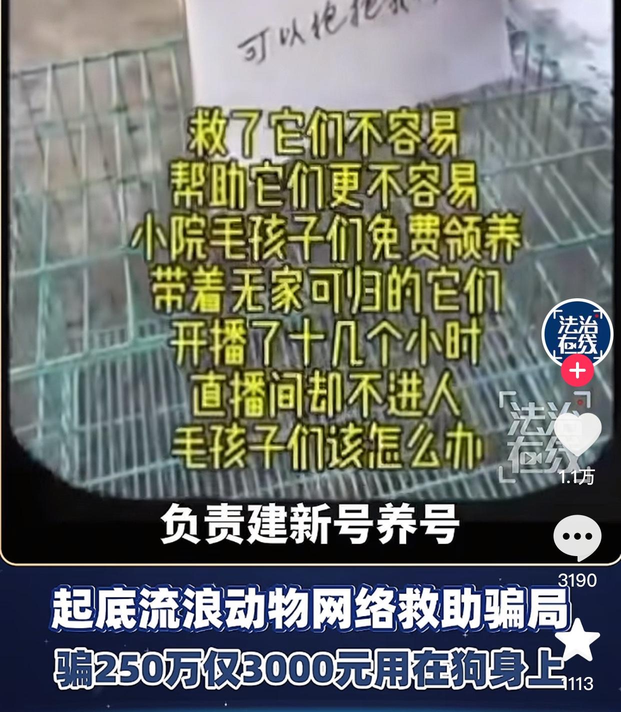 动保协会还有一众爱宠人士遭遇到了目前最大的信任危机，一个救助团体骗了1500人2