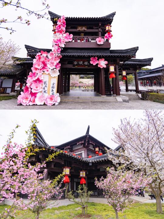 三国水浒深度游！带娃沉浸式感受名著魅力✌️