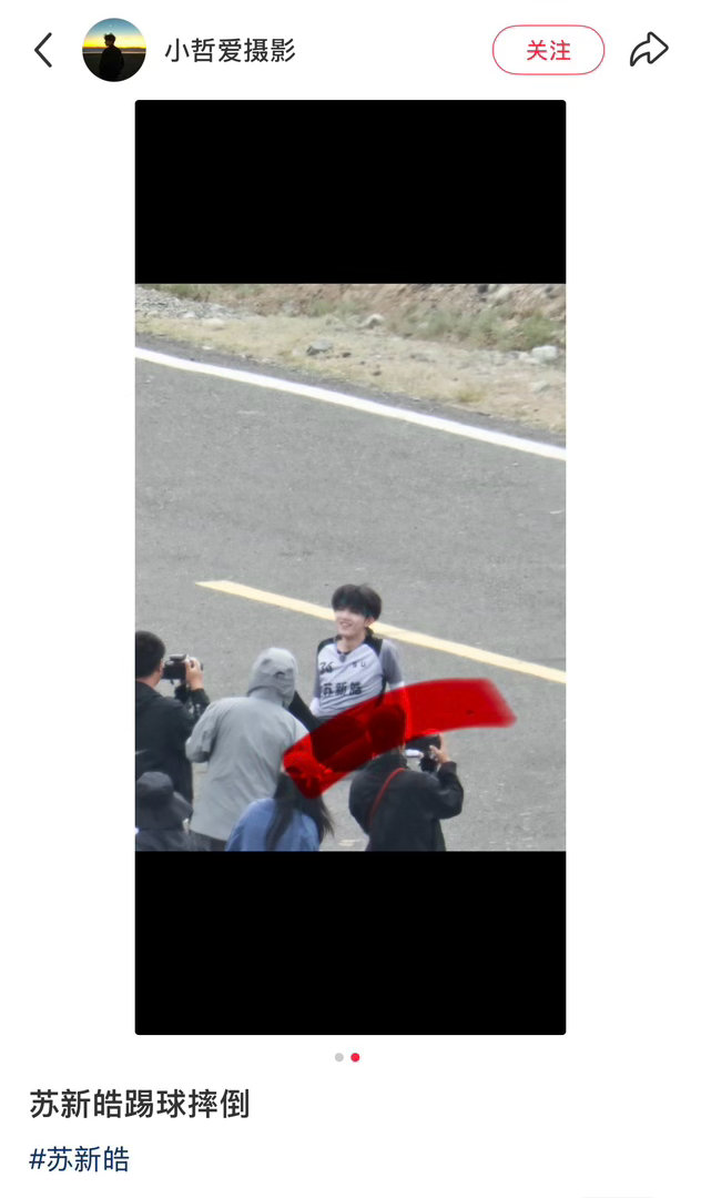 这笨兔摔倒了还笑的这么开心 
