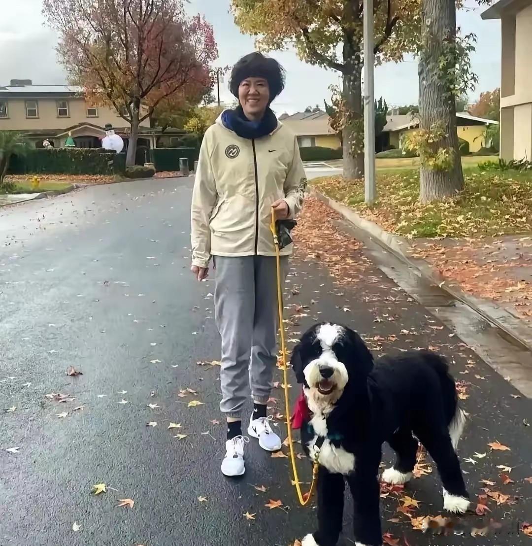 主人有点脸熟，好像在哪运动会上见过，这条狗就不熟，不知是洋犬还是土狗！
