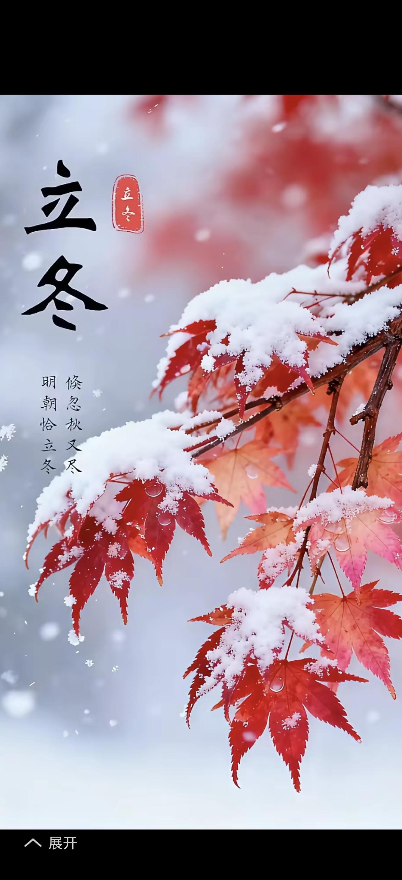 立冬到了，天地有了初寒之意。风里添了清冽，落叶卷着秋意悄悄退场。
立冬是冬天第一