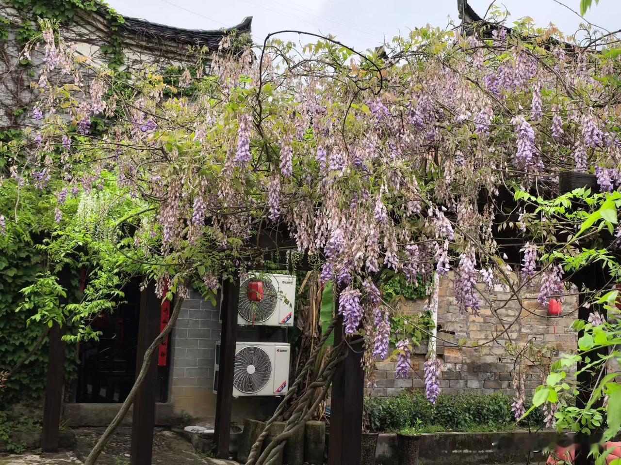 这两年的一个小目标，先写在这里，待过两年。
或者从即日起，条件具备了，一点点实现