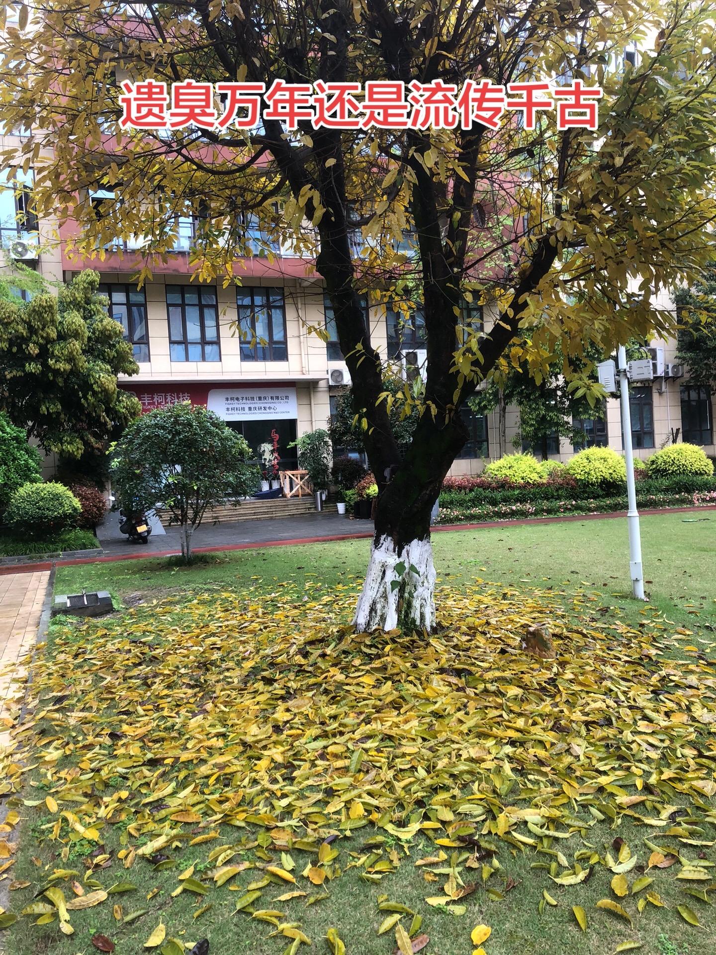 东晋权臣桓温，年轻的时候一表人才，是猛男型帅哥，世人都认为他是个奇才。...