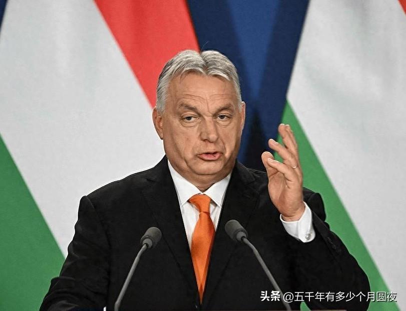 普京笑了。
欧尔班的选情不乐观，卢比奥去站台了，万斯也要去支持了，特朗普还在隔空