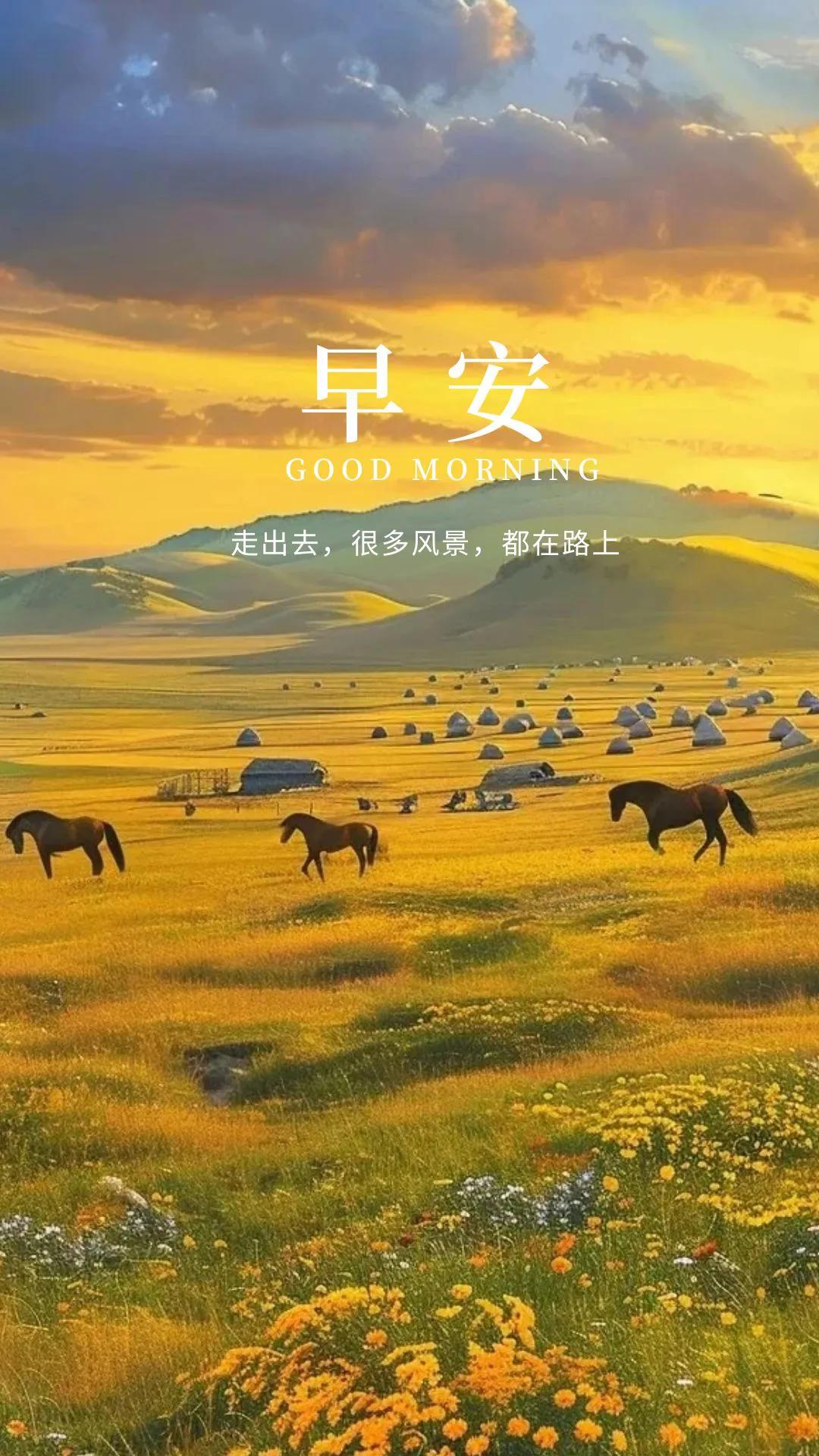 #分享一下你随手拍的清晨#
2024 年 10 月 5 日，星期六，早安！用努力