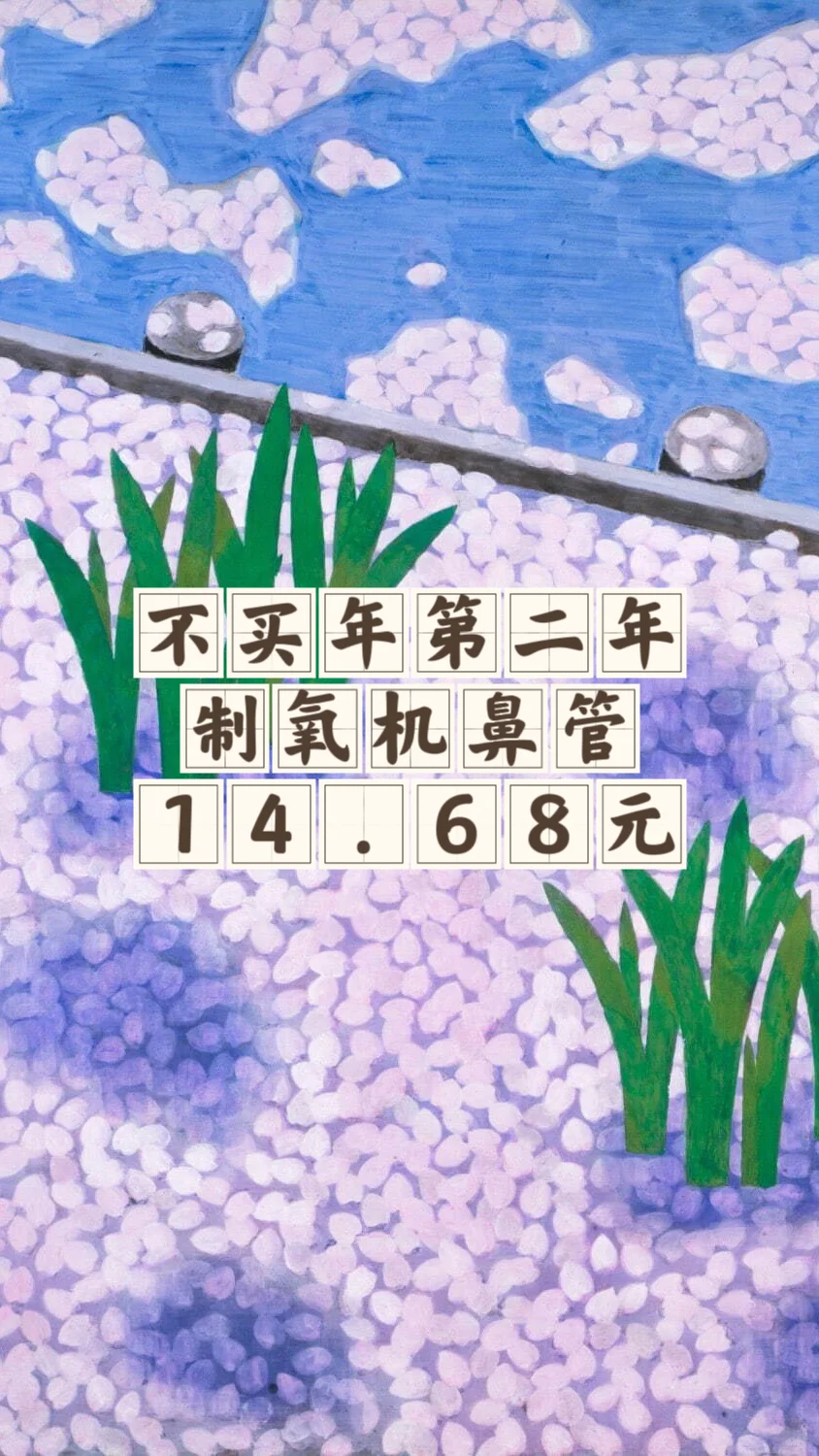 不买年第二年：全年总消费3017.76元