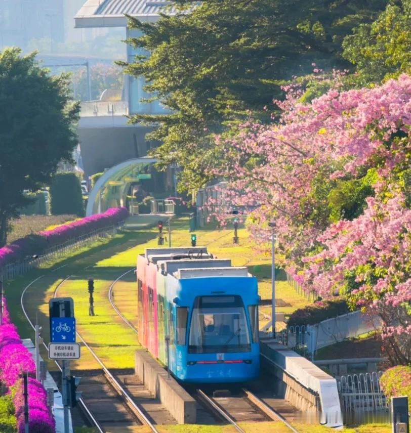 晒图笔记大赛广州的美简直就是仙女下凡🥰，都12月份冬天了感觉还是春天刚来不久，