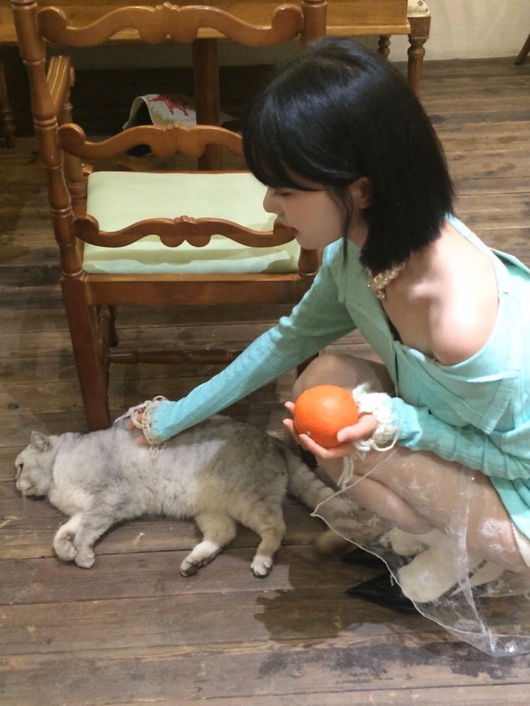 剪了短发 养了小猫