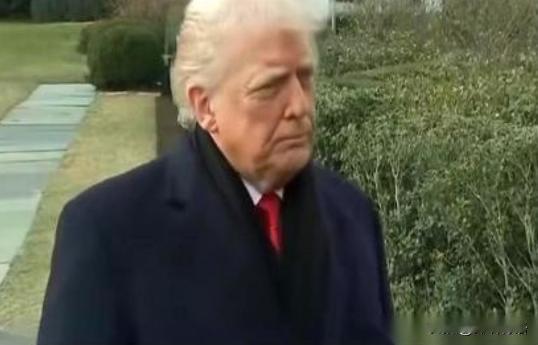 加拿大总理卡尔对全世界说了一句大实话，中国虽然在经济上赶不上美国，但是胜在稳定，