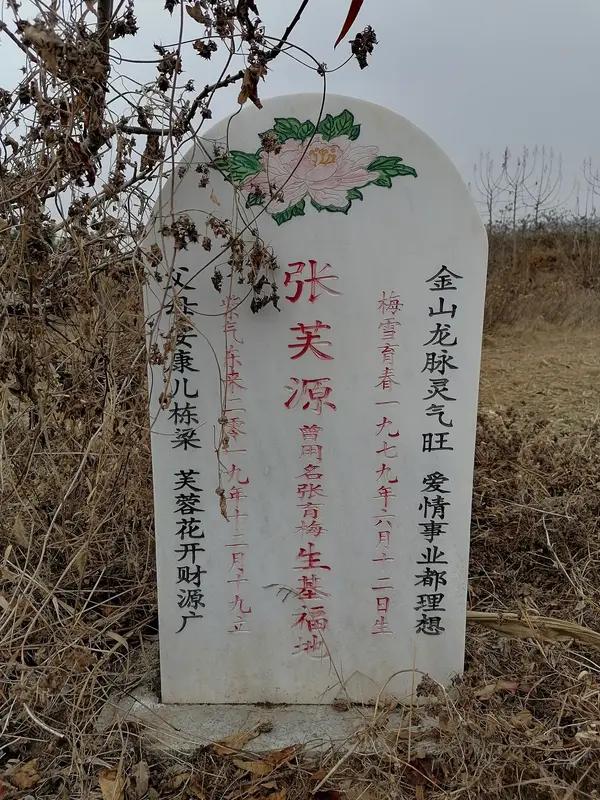 河南周口这八旬老人的故事太好哭了。十多年来，他在亡妻墓前种满鲜花，最初是虞美人，