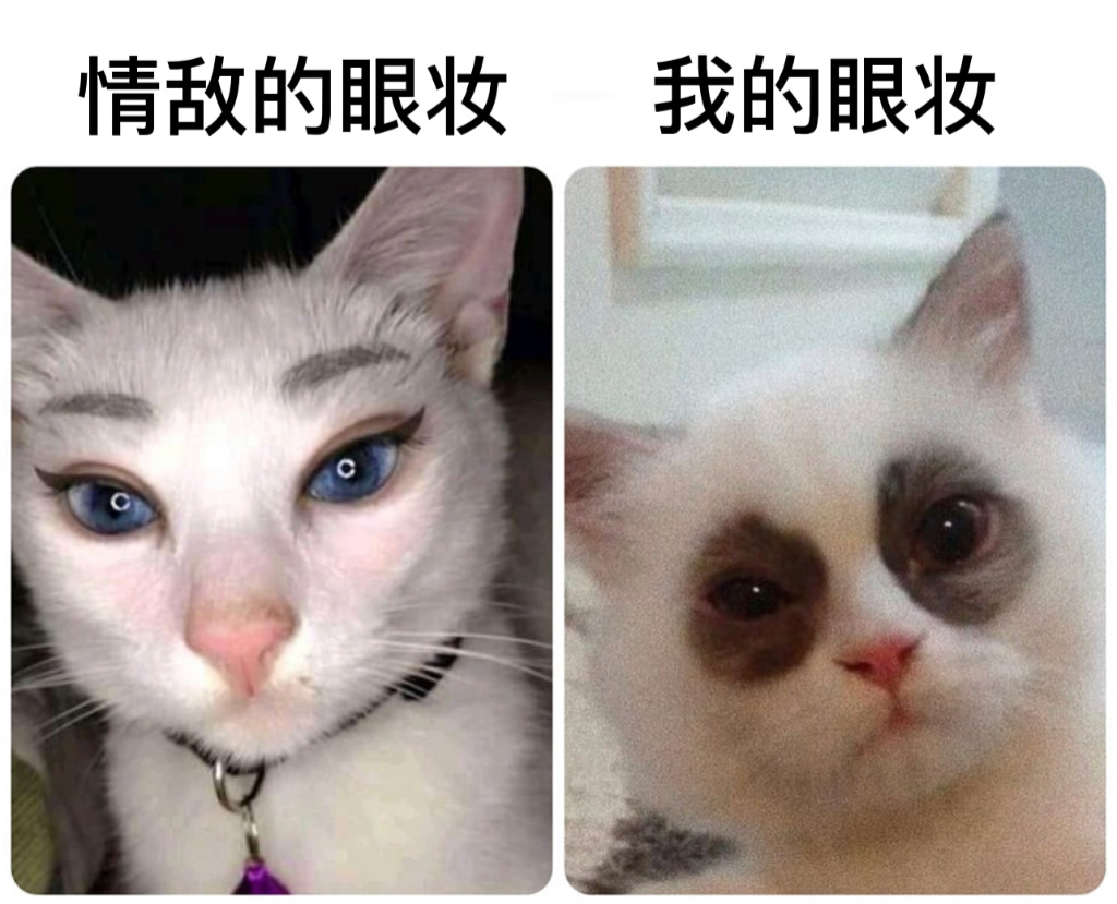 有个性#今日memes# //#我的春日狂欢日记# ​​​