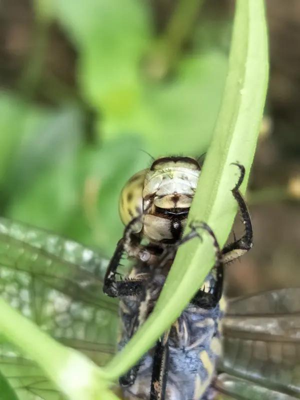陈道明告诫女儿的一句话，堪称人间清醒：‘宁可嫁一个没文化的，也别碰那种有文化的伪