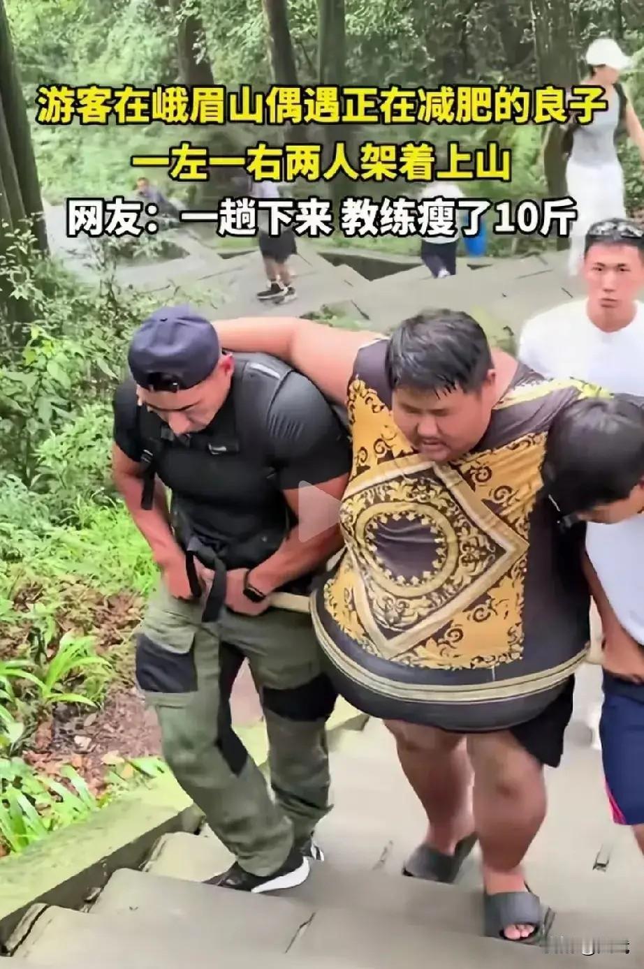 抬343斤良子爬峨眉山这事，让我无语，
俩大老爷们儿举根竹竿，把三百多斤的良子肚