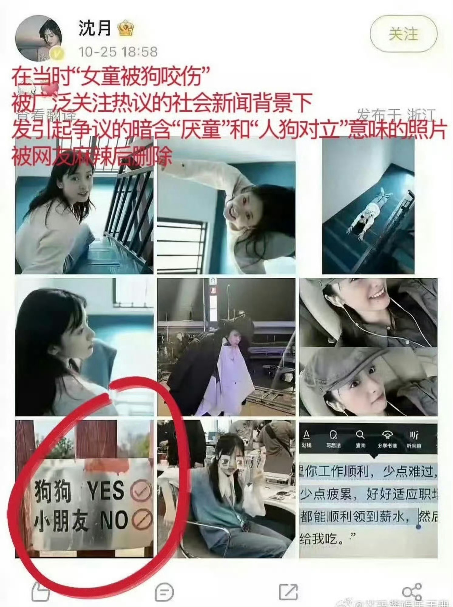 曝沈月文章抄袭omg～小孩no～小狗yes？ 