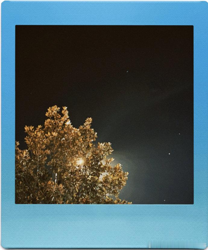 丁程鑫星空下和大家说晚安  丁程鑫在星空下 丁程鑫仰望星空，心中满载温柔与祝福，