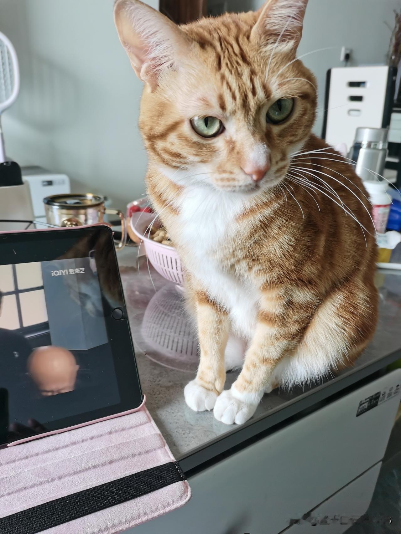 快70岁的老太太靠技术，在城里轻轻松松月入过万。
小区来了个60多岁的妇女，是来