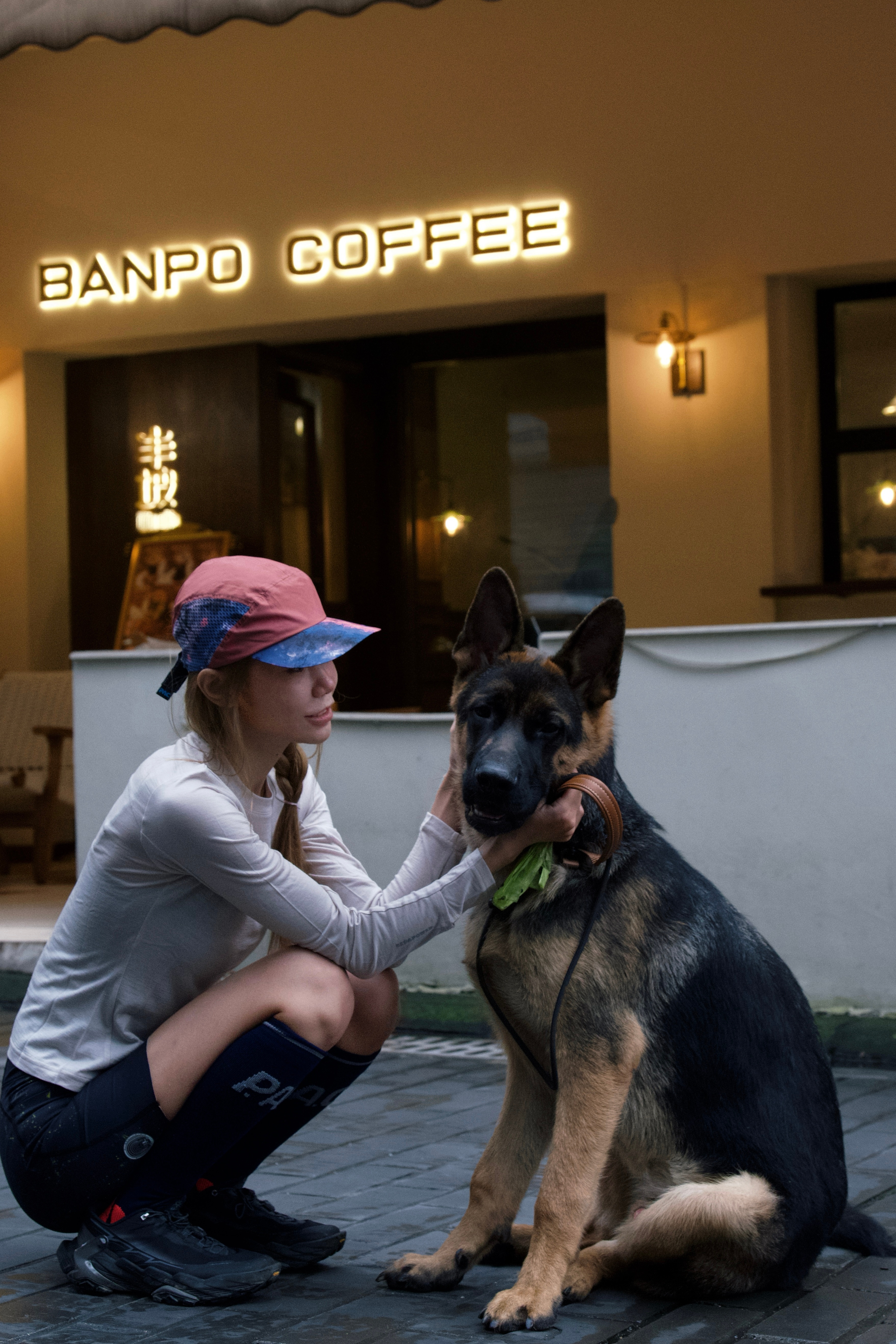 三个月的麦麦vs八个月的麦麦 ​​​