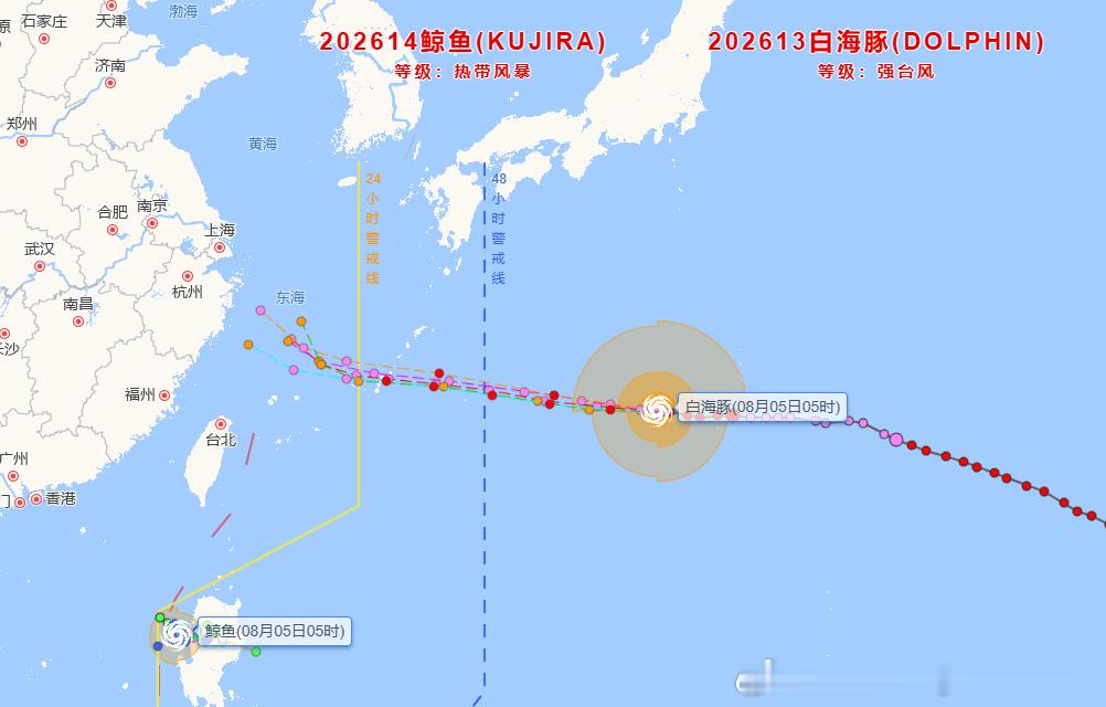 台风白海豚大概率登陆浙江 “白海豚”已由巅峰时期的超强台风级略微减弱为强台风级，