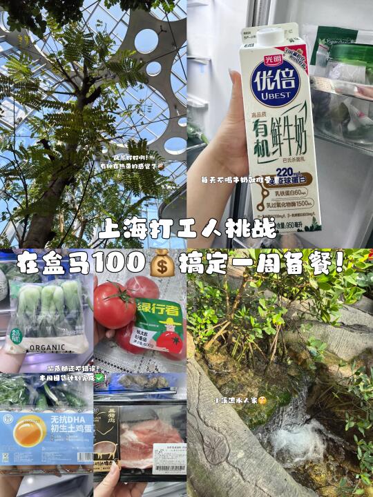 已攒33w｜好有成就感!100¥搞定一周备餐🤤