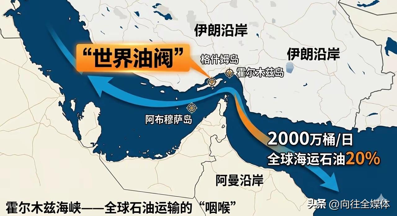 全球军力第一却束手无策！伊朗靠三招，死死锁住霍尔木兹海峡
 
作为全球军力最强国