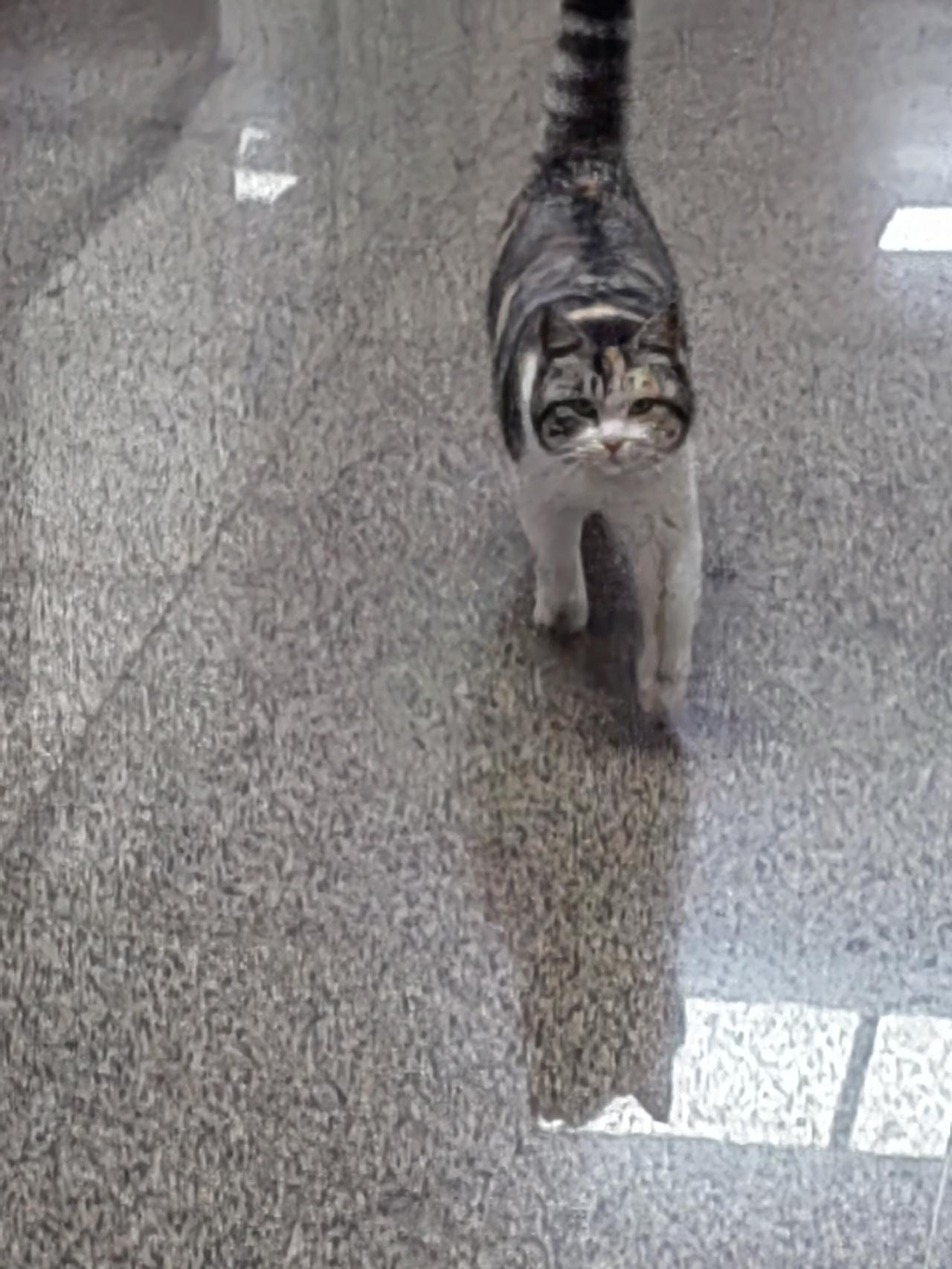 今天在路上偶遇一位骑车男子，一身骑行服打扮，戴着墨镜，样子很是潇洒，我们正好在一