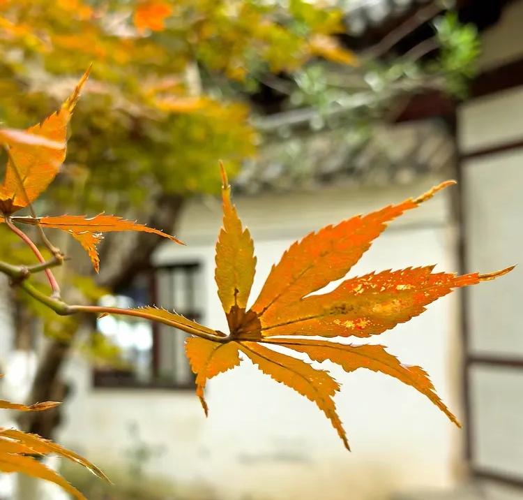 生活中六边形战士是很少的。不能说没有，即便有，也轮不到普通女生来认识。

小A，
