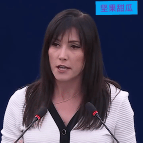 波兰人被集体逼疯了。波兰籍欧洲议会议员埃娃·扎扬奇科夫斯卡-格尔尼克在一次关于乌