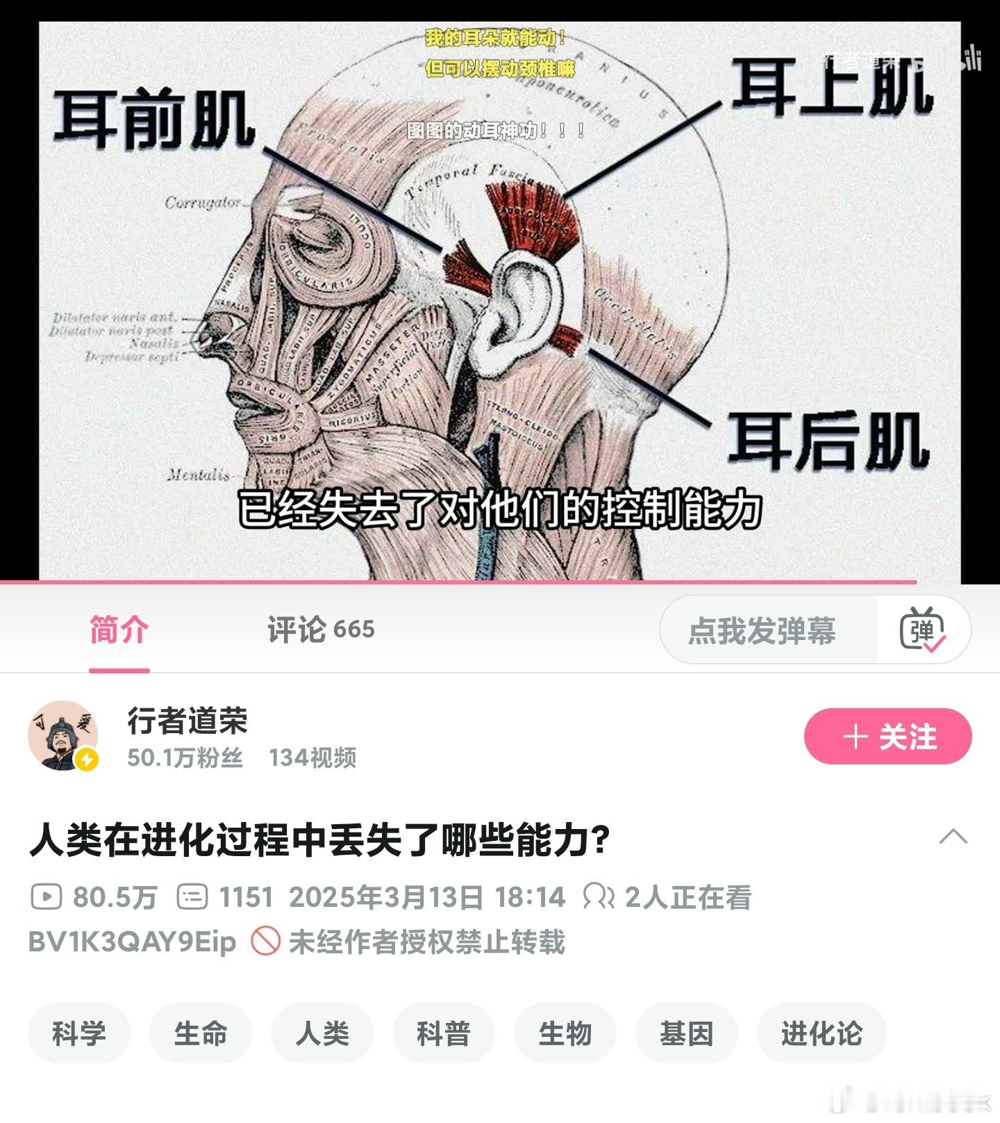我是少部分人，我天生就会动耳朵，可以精准控制耳朵👂的位置，比如短暂停留在不同地