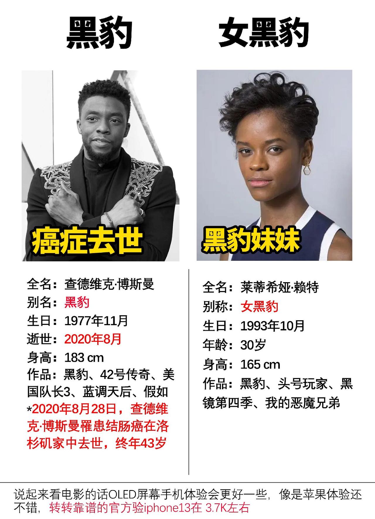 一代黑豹和二代黑豹你更看好哪一位？#洛基  #黑豹 #漫威