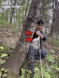 新款手游，谁玩过？🤔